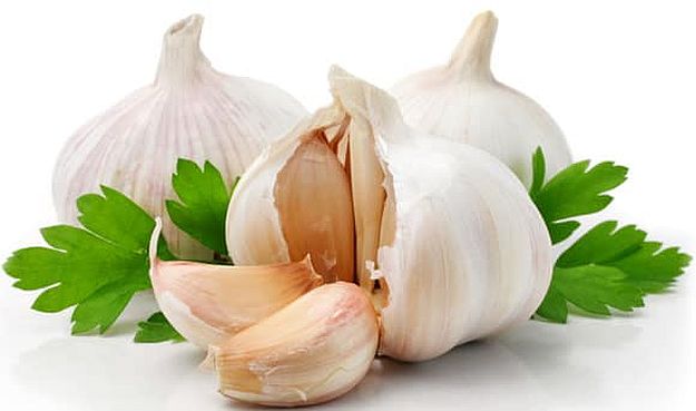 Garlic | Healing Herbs And Spices To Grow In Your Garden