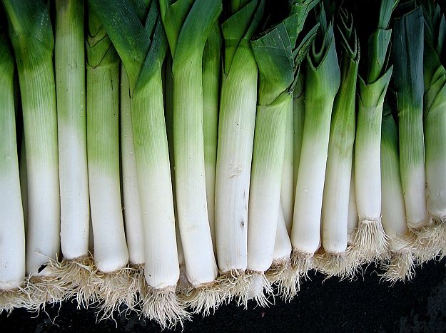 Leeks | Ultimate Guide To Have An Indoor Garden For Winter | [Infographic]