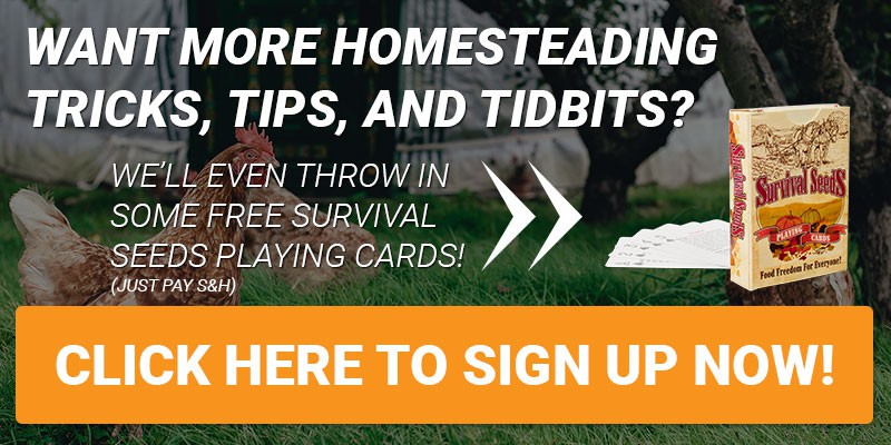 Want more homesteading tricks, tips and tidbits? Click here to sign up NOW! We'll even throw in some FREE Survival Seeds Playing Cards!