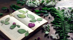Feature | How To Press Flowers For Your DIY Arts And Crafts 