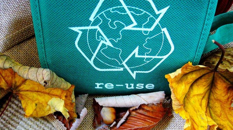 Featured | Recyclable | Things To Never Throw Away [2nd Edition] | Homesteading