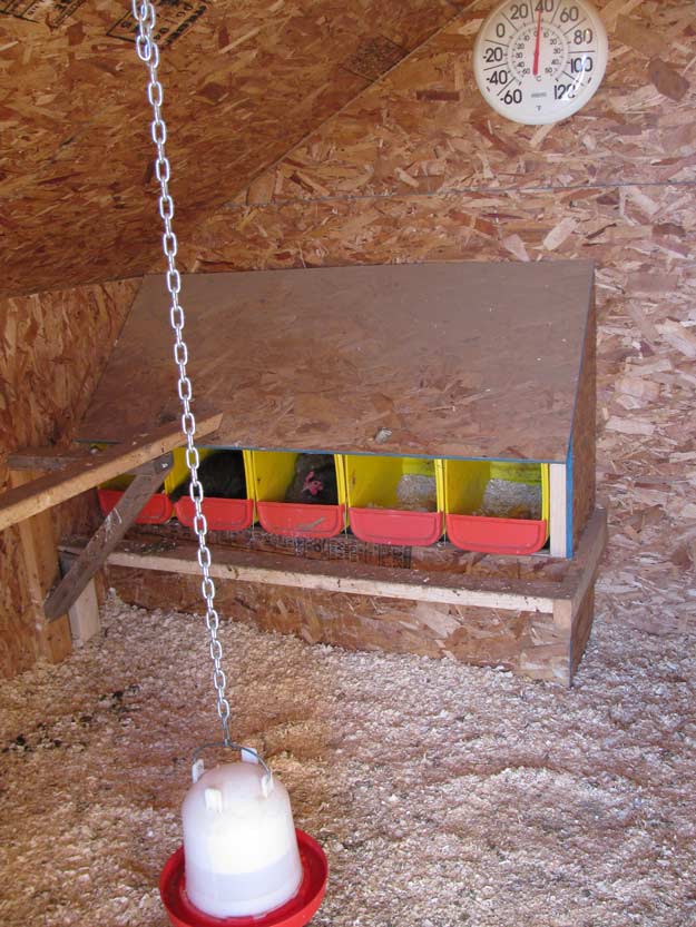 First: Visualize | Build Chicken Nesting Boxes From Recycled Scrap Materials 