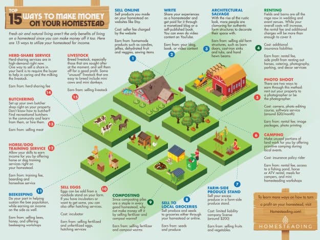 Top 15 Ways To Make Money On Your Homestead