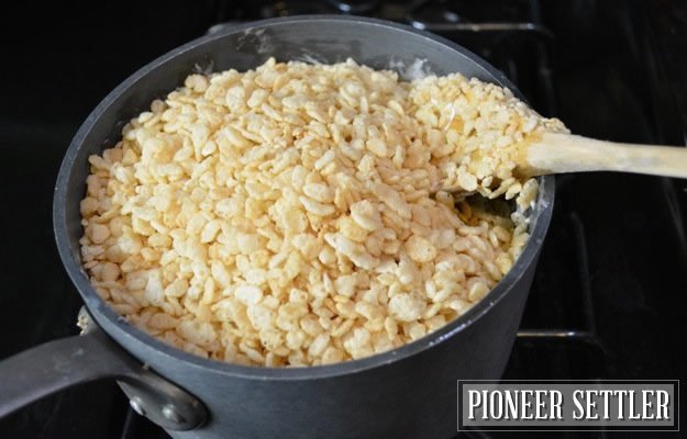 Rice Krispies in Pan | How to Make Rice Krispie Treats