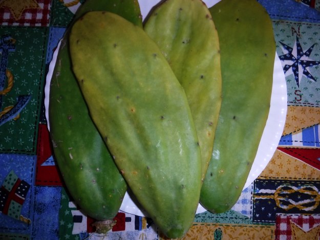 How to clean the cactus paddles | Pickled Cactus Recipe with a Sweet Twist