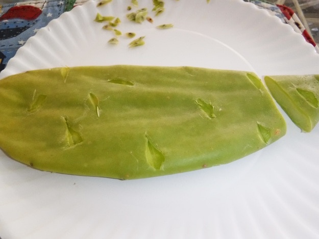 Carefully remove the spines | Pickled Cactus Recipe with a Sweet Twist
