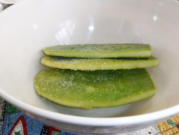 Toss with sea salt | Pickled Cactus Recipe with a Sweet Twist