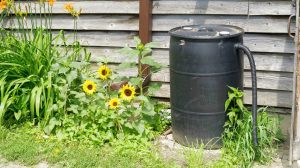 Feature | Plastic barrel for recycling rainwater | Make A DIY Rain Barrel And Never Waste Water Again