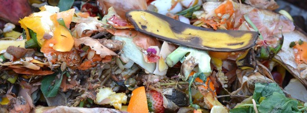 Composting | How to Reduce, Reuse, and Recycle on the Homestead