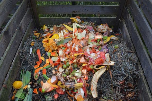 Food Waste | How to Reduce, Reuse, and Recycle on the Homestead