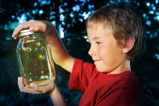 silicone jar opener - catching fireflies