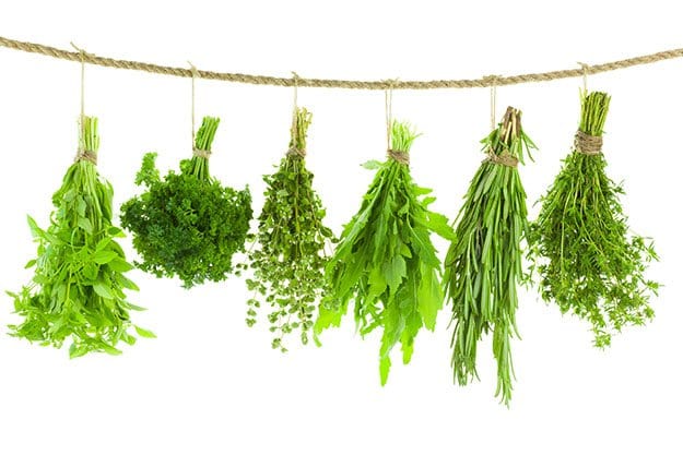 Step 3: Hang Herbs | Herb Garden Tips | How to Dry Herbs