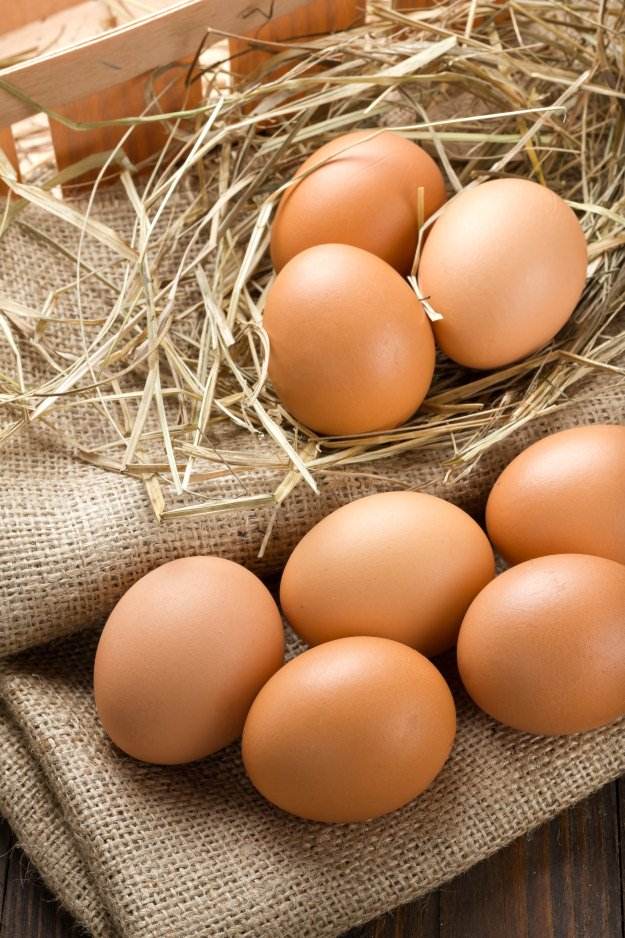 Raising Chickens For Eggs | Raising Chickens In Your Homestead | The Ultimate Guide