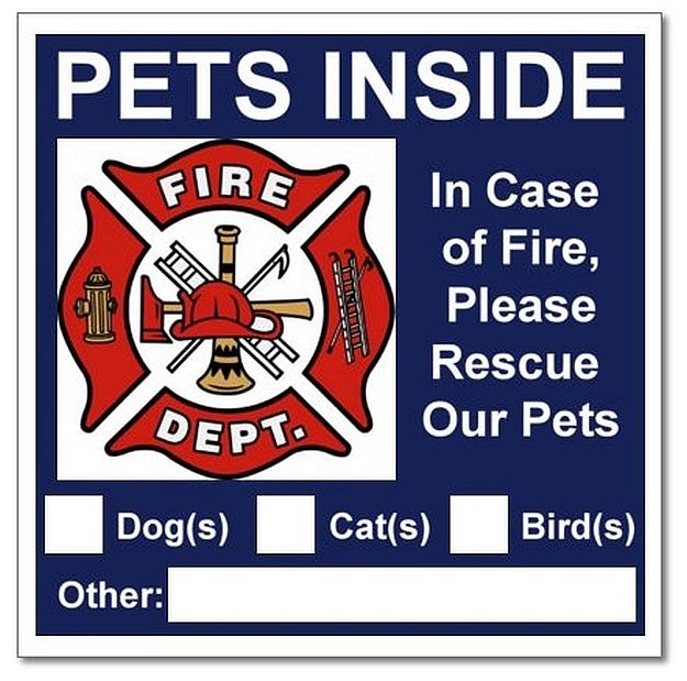 Surviving A Fire | Smart Fire and Electrical Tips To Keep Your Pets Safe