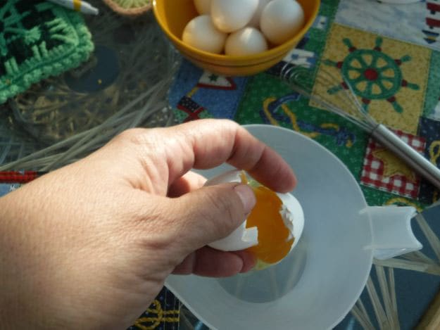 Break Fresh Eggs | Dehydrating 101 Series.....Eggs