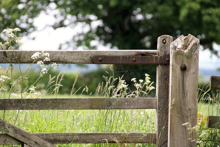 Fencing Frenzy: Choosing the Right Fence For Your Homestead