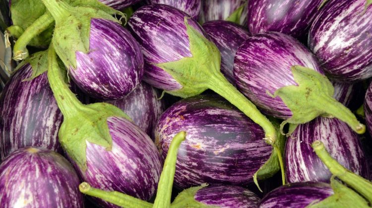 Eggplant fruit vegetables food | Beat-the-Heat Summer Plants For Yours Garden