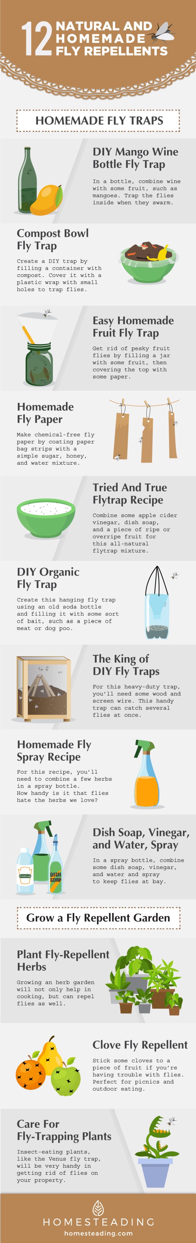 How To Get Rid Of Flies | Natural And Homemade Fly Repellents