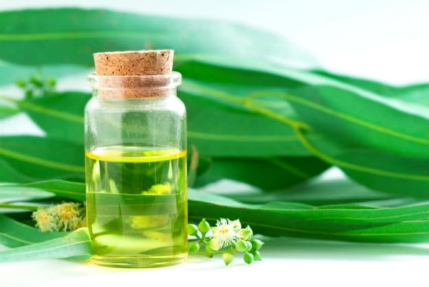 Eucalyptus oil | Asthma Symptoms: 9 Natural Ways To Help You Breath Easy