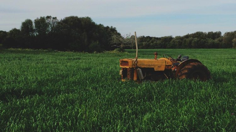 Feature | Farm tractor | Survivalism Meets Homesteading: Essentials For Every Homesteader