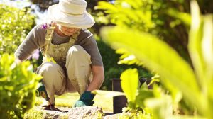 Senior woman with gardening tool working in her backyard garden | Garden Tool Organization: Easy Hints and Tips