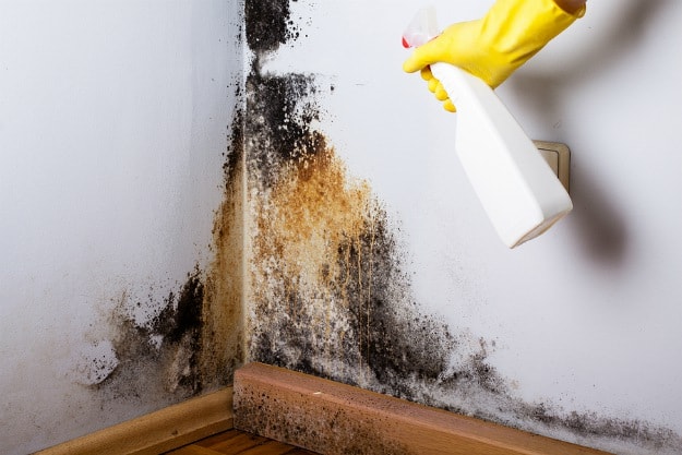Black Mold 8 Ways To Kill It Using, Home Remedies Cleaning Mold Bathtub