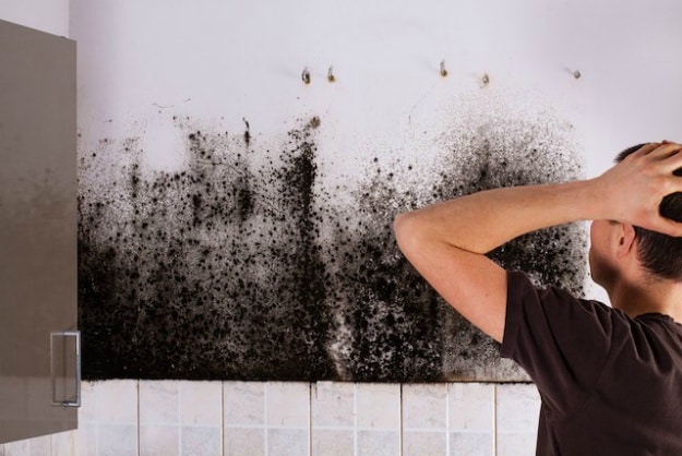 Black Mold | 8 Ways To Kill It Using Natural Home Remedies