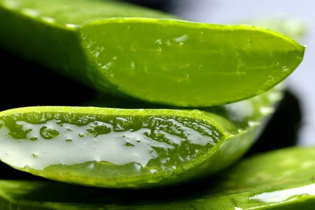 Aloe Vera | Home Remedies To Reduce The Appearance Of Scars And Stretch Marks