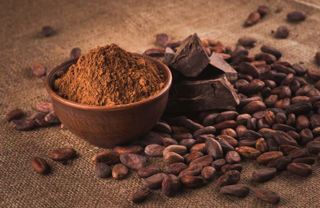 Cocoa Powder | Essential Pantry Items For Your Holiday Homestead
