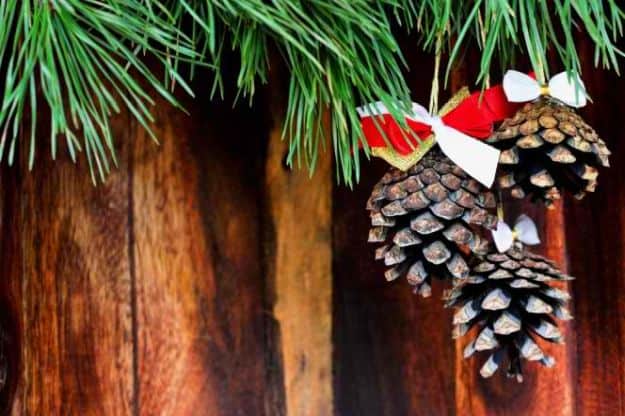 Christmas Tree Decoration | How To Use Native Plants For Christmas Decorations