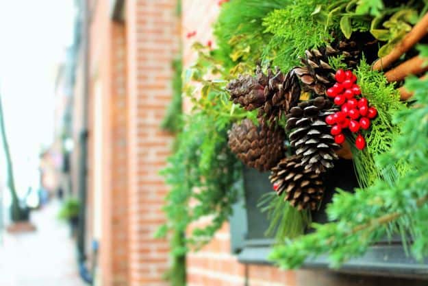 Garland | How To Use Native Plants For Christmas Decorations
