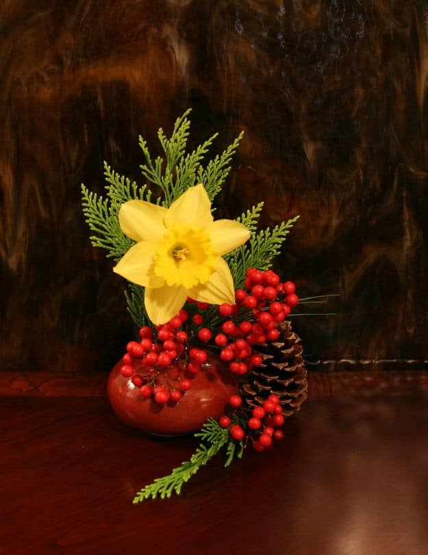 Texture | How To Use Native Plants For Christmas Decorations