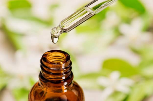 Antiseptic | Incredible Uses For Tea Tree Oil Around The Homestead