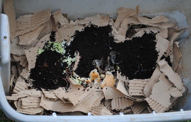 What Is Vermicompost? | Vermicomposting | Fertilize With Worm Castings