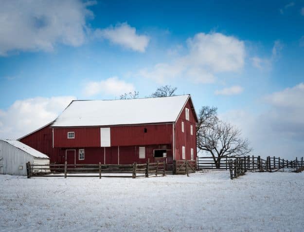 Make Your Shelter Winter Ready | Livestock And Barn Winter Tips | Homesteading Guide