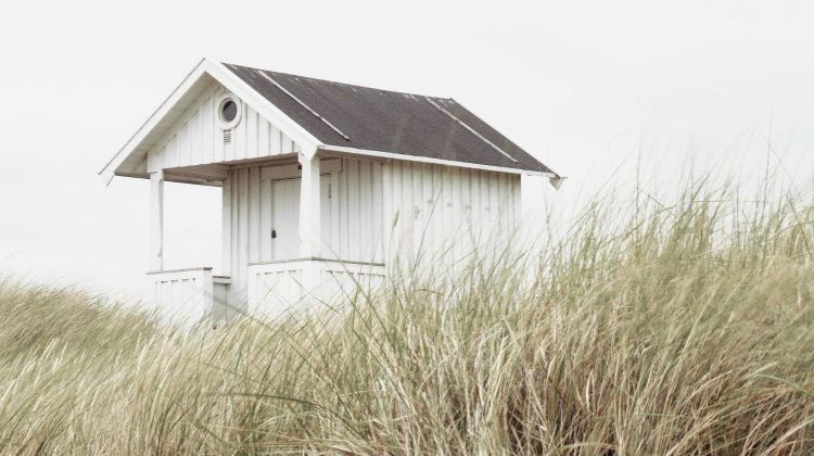 White and black wooden shed in the middle of brown grass under white sky | Tiny Living Ideas | Live Big While Going Small | Homesteading