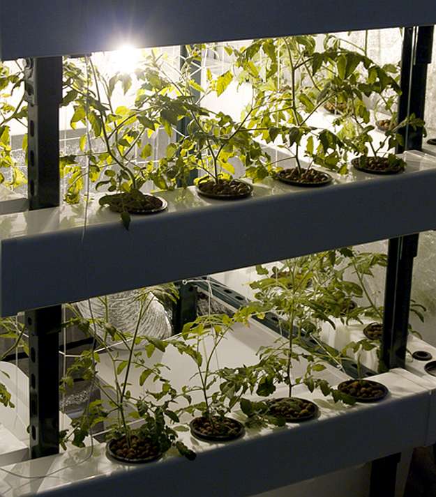 Amazing Hydroponic Systems For Indoor Gardening