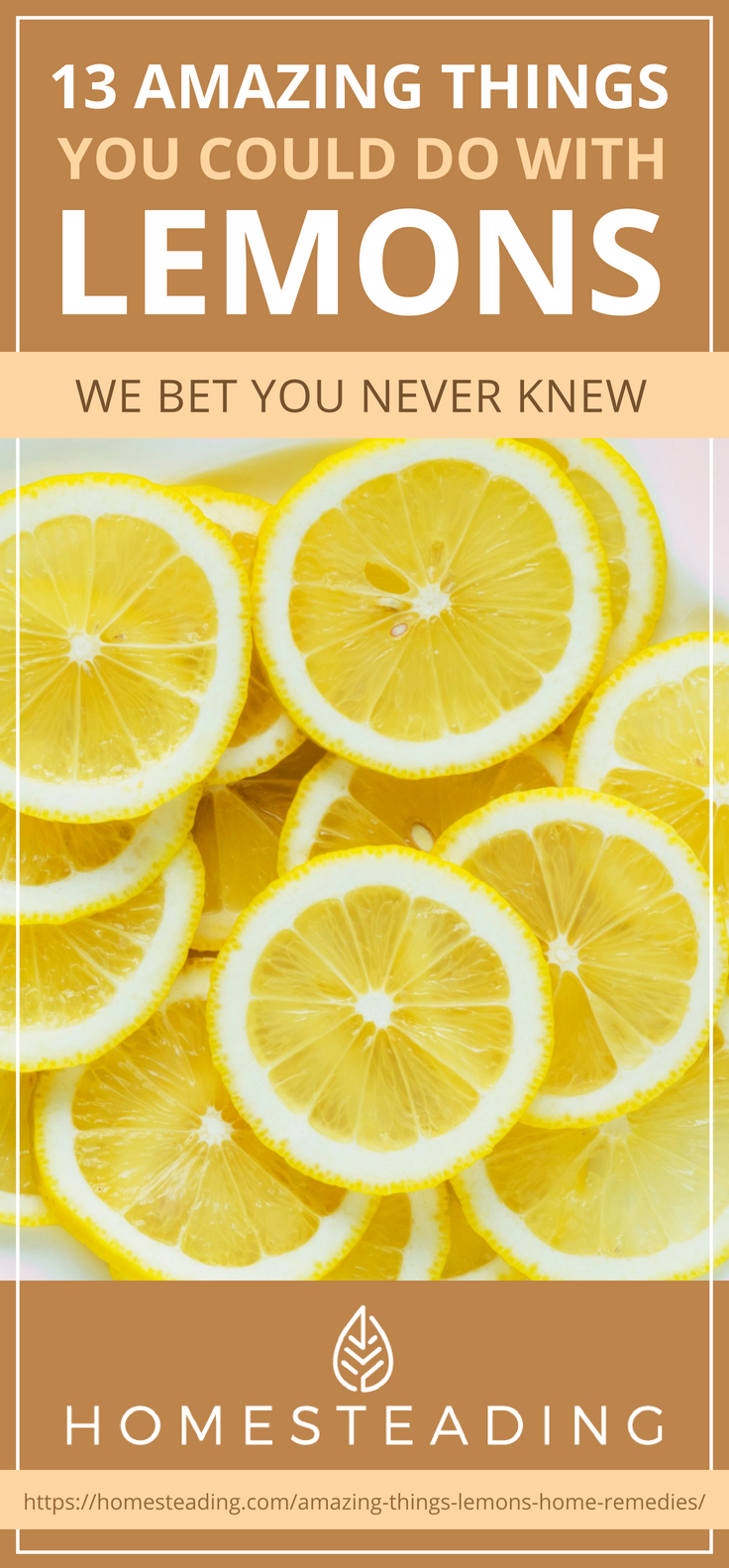 Pinterest Placard | 13 Amazing Things You Could Do With Lemons We Bet You Never Knew