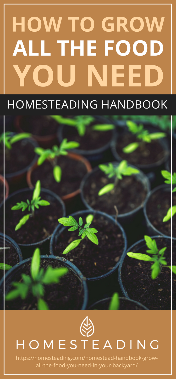 Pinterest Placard | How to Grow All The Food You Need | Homesteading Handbook