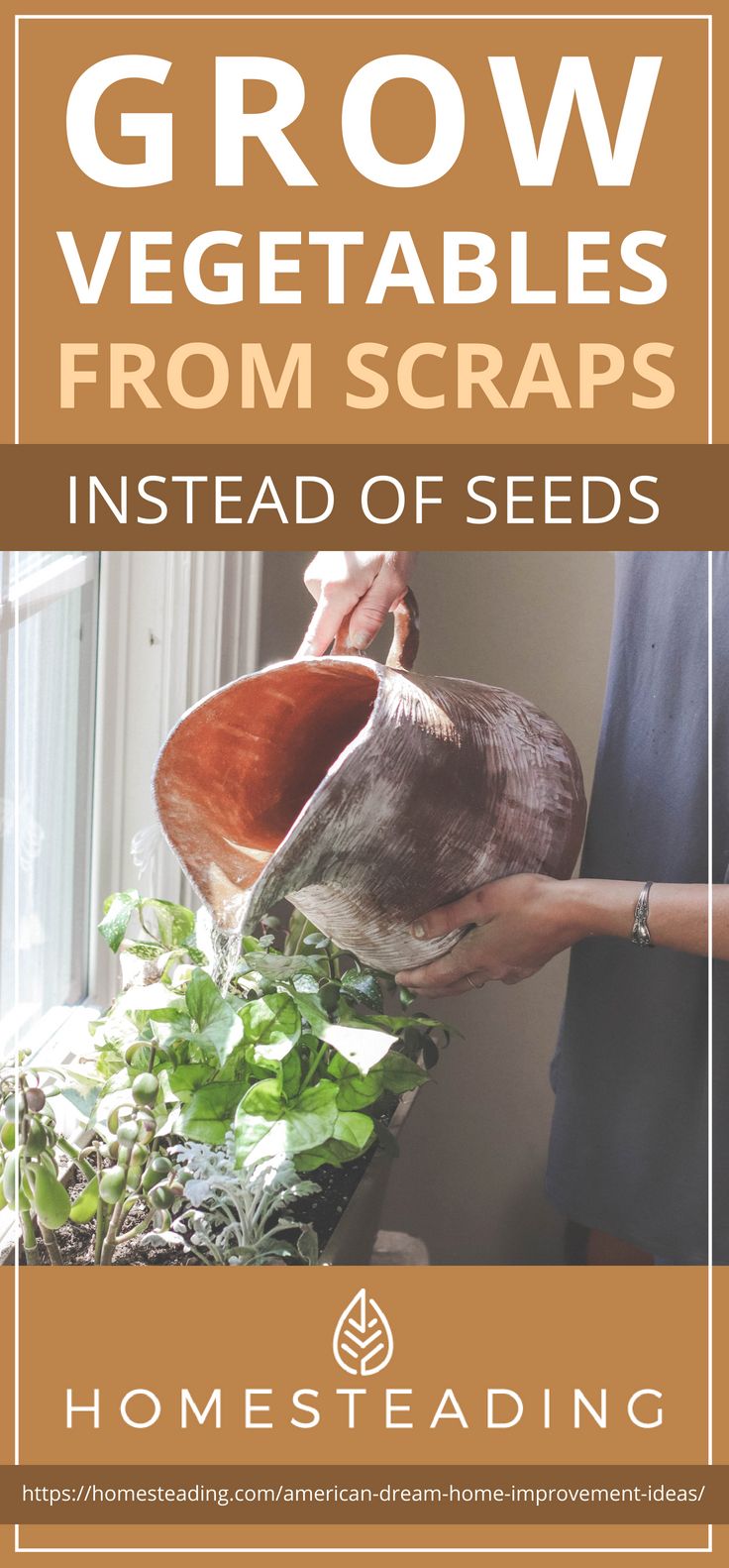Pinterest Placard | Grow Vegetables From Scraps Instead Of Seeds