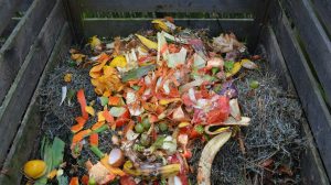 Feature | Green waste compost bin | DIY Compost Bins To Make For Your Homestead