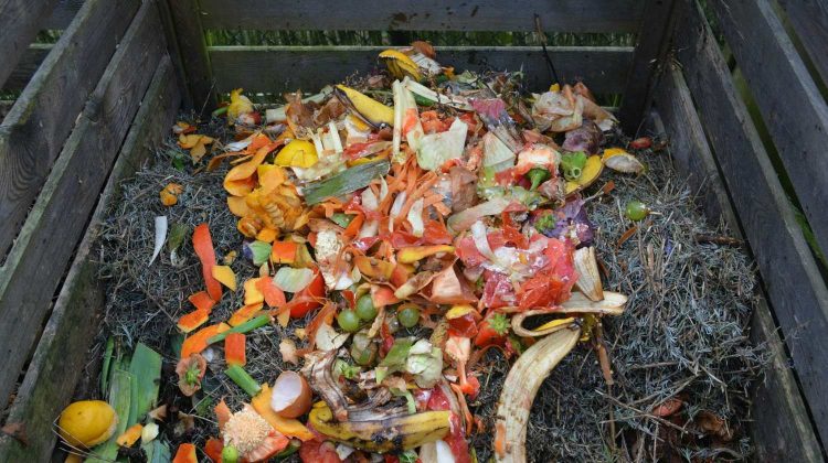 Feature | Green waste compost bin | DIY Compost Bins To Make For Your Homestead
