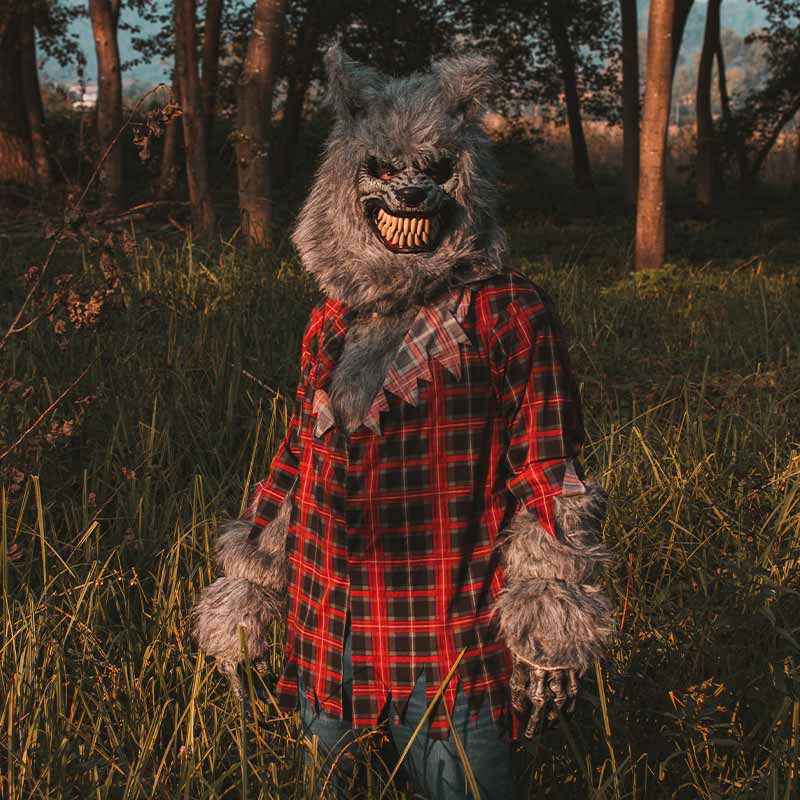 Man in a werewolf costume standing still in the tall grass with trees| scary costumes