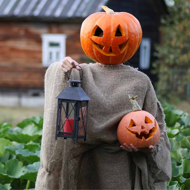 pumpkin head deamon horror | halloween costumes