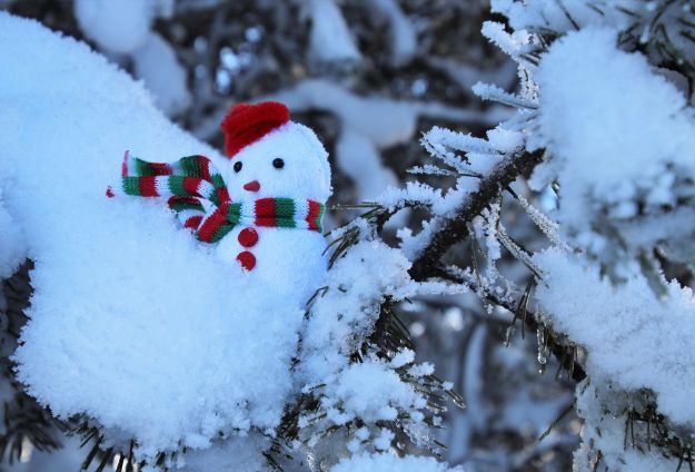 18 Snowman Ideas To Populate Your Homestead | Homesteading Simple Self ...