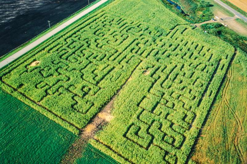 13 of the Best Corn Mazes to Visit Across The U.S. | Homesteading ...