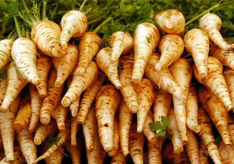 Parsnip on display in food market | autumn crops