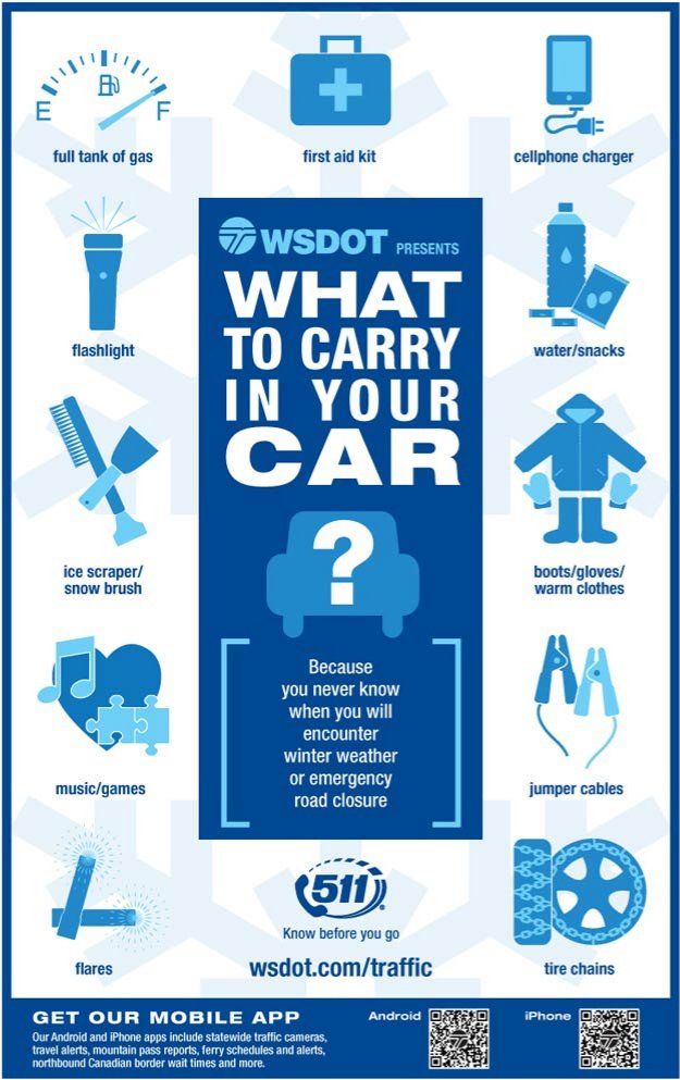 what to carry in your car | infographic | emergency kit 