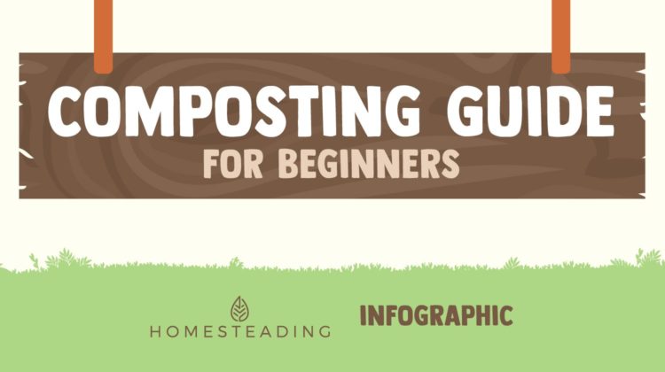 feature image | How To Compost [INFOGRAPHIC] | Homesteading Composting Guide