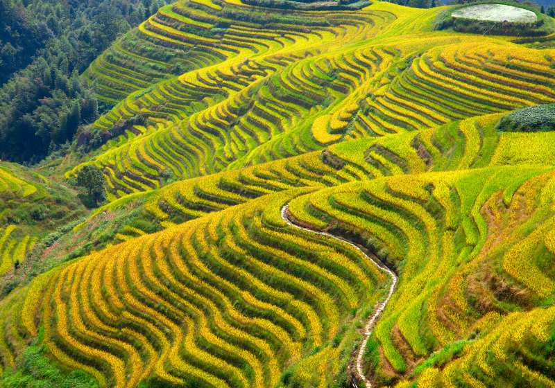 longsheng rice terracesdragons backbone known longji | advantages of terrace farming